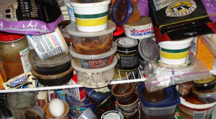 Wednesday, November 15th | National Clean Out Your Refrigerator Day